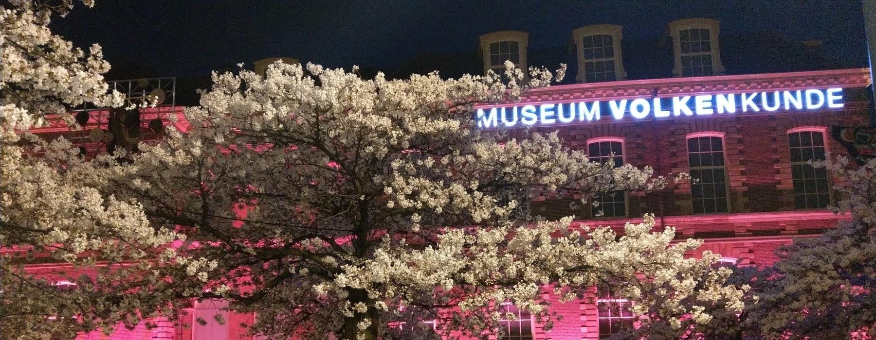 museumgebouw-roze-belicht