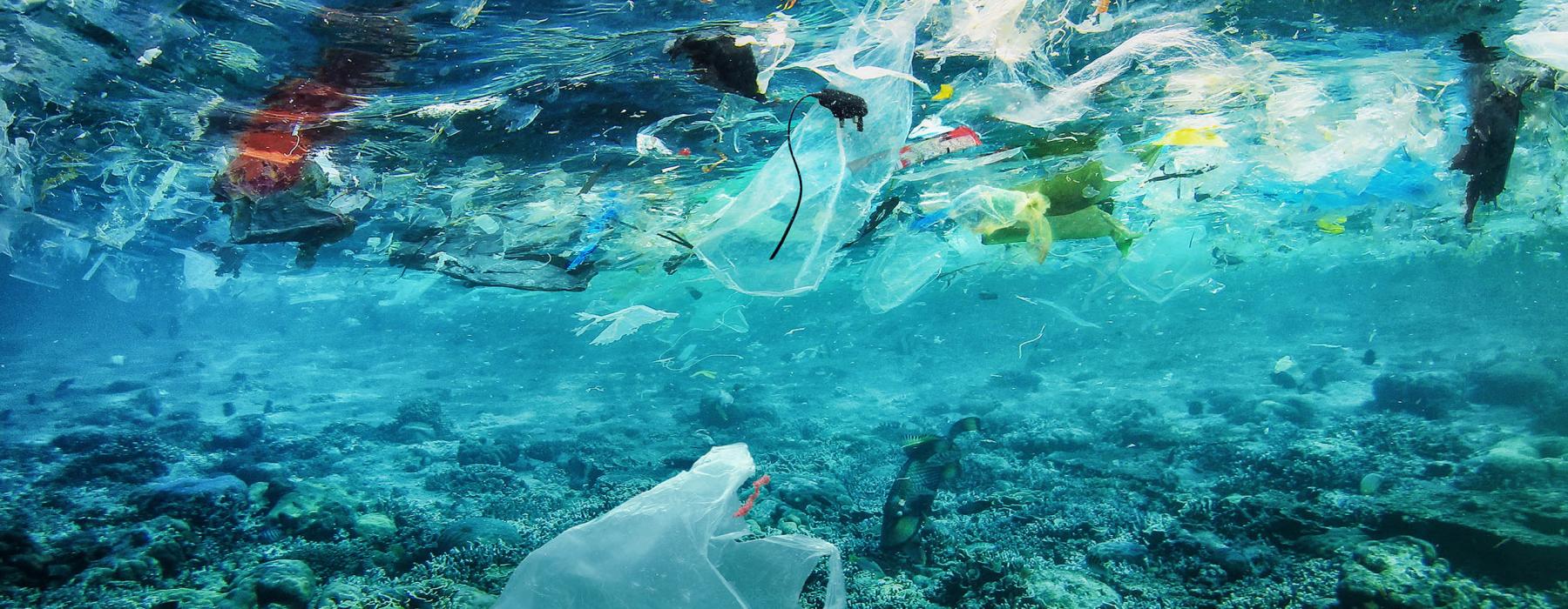 Plasticvervuiling op Bali